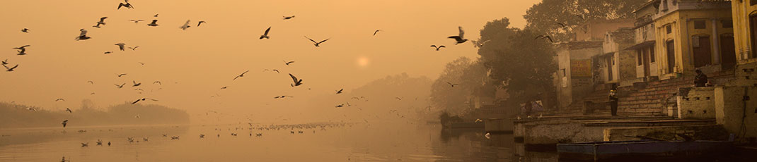 IMG- Yamuna home cover1