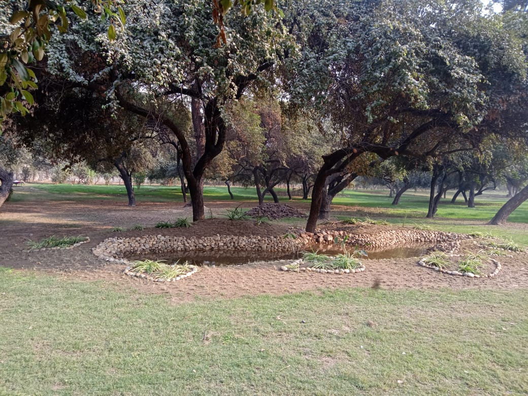 Herbal Garden @ Aziz Baksh Wala Bagh , Pitampura