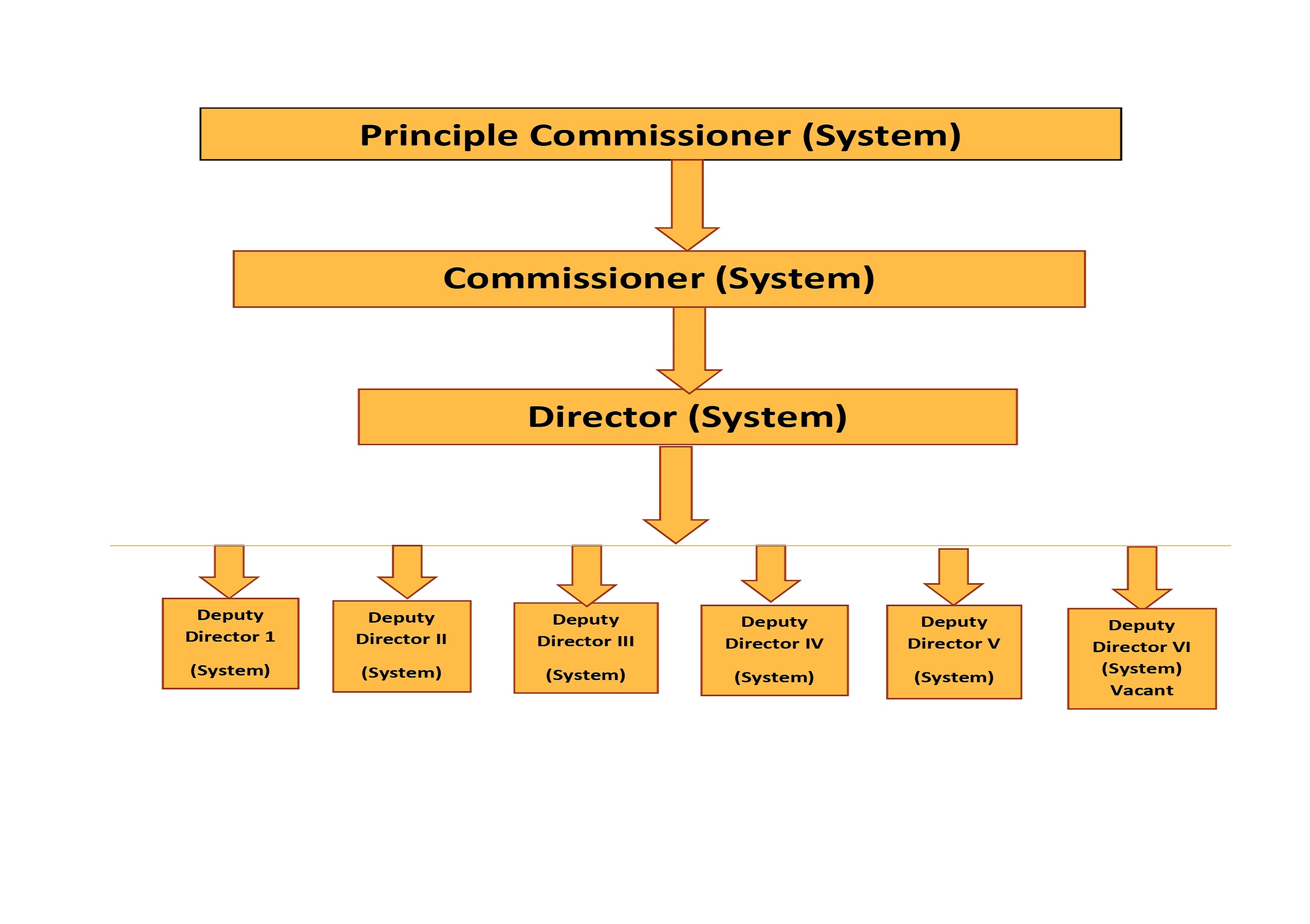 System