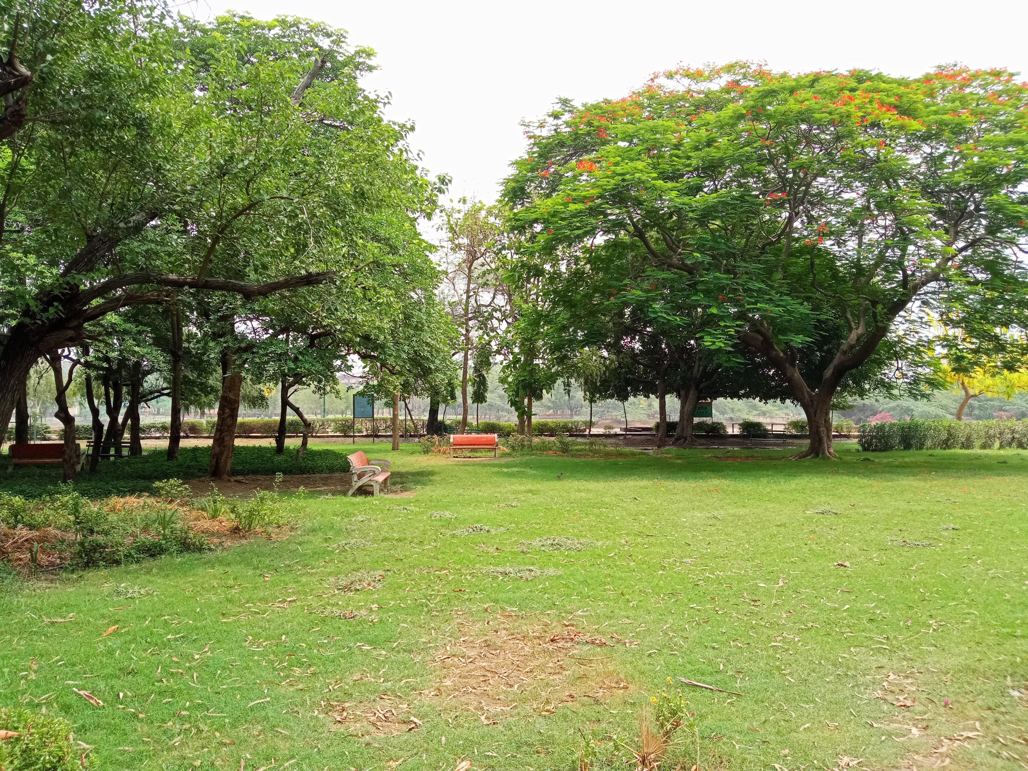 G-8 lake park  at Hari nagar