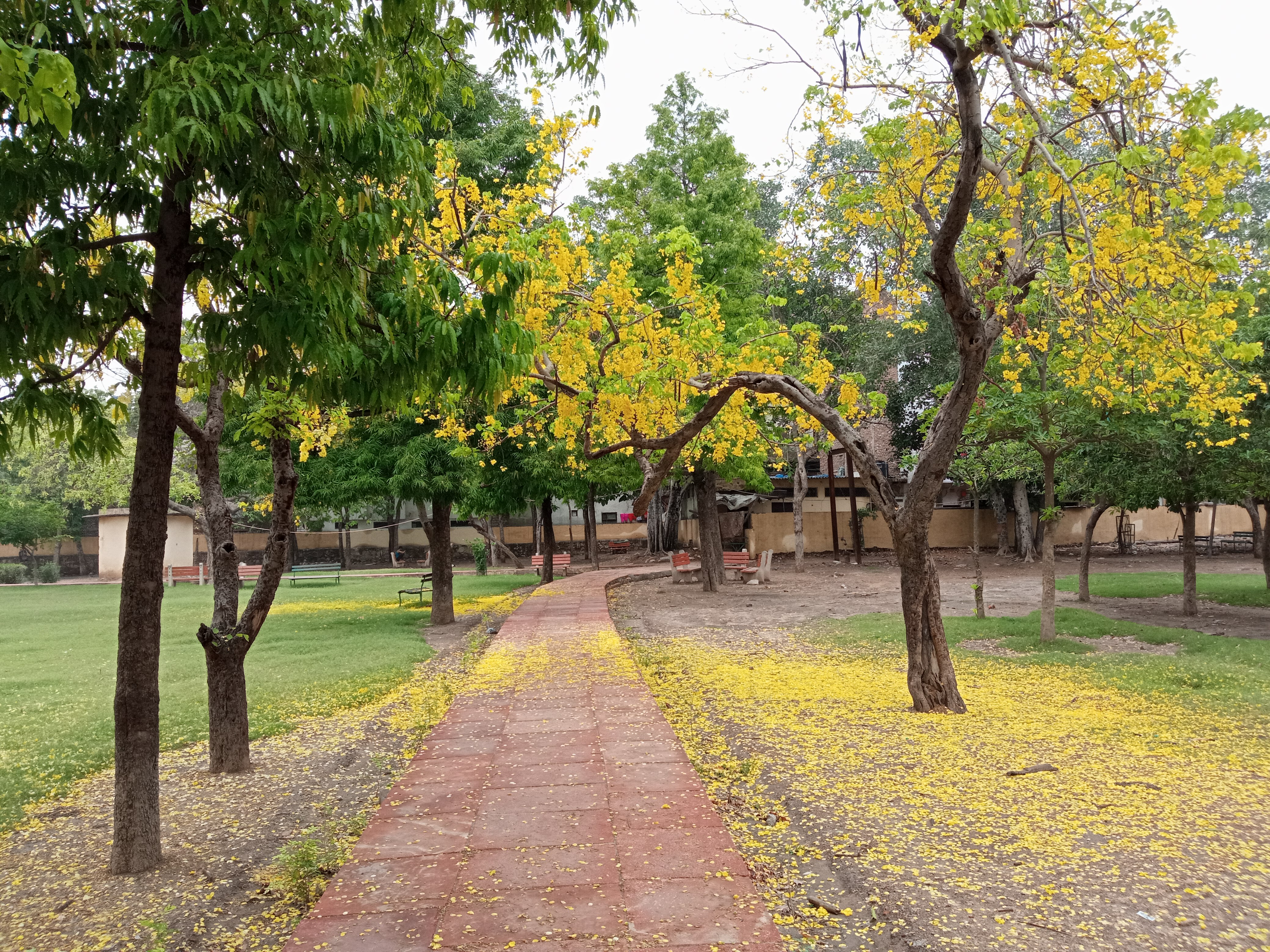 G-8 lake park  at Hari nagar