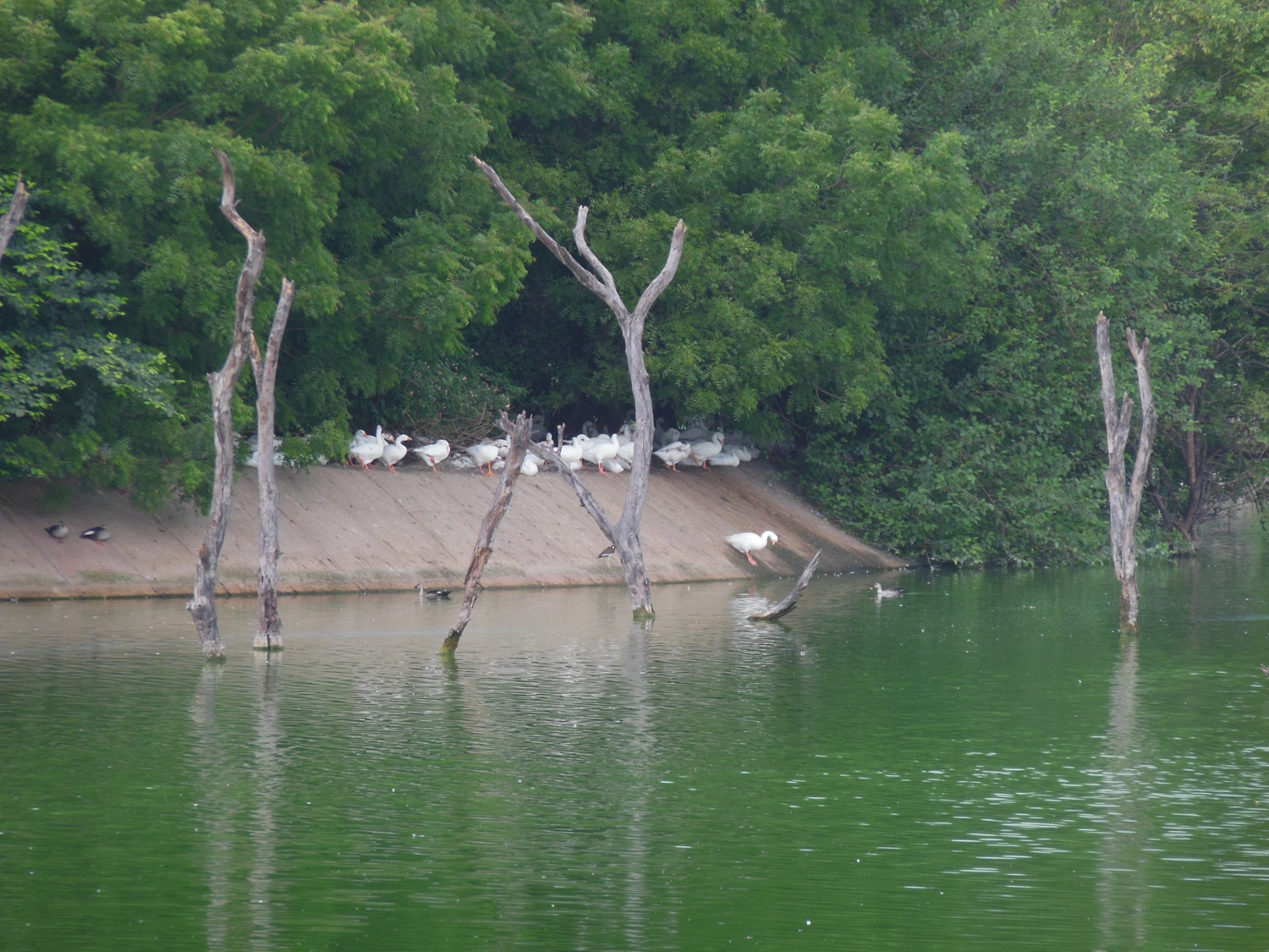 View 2