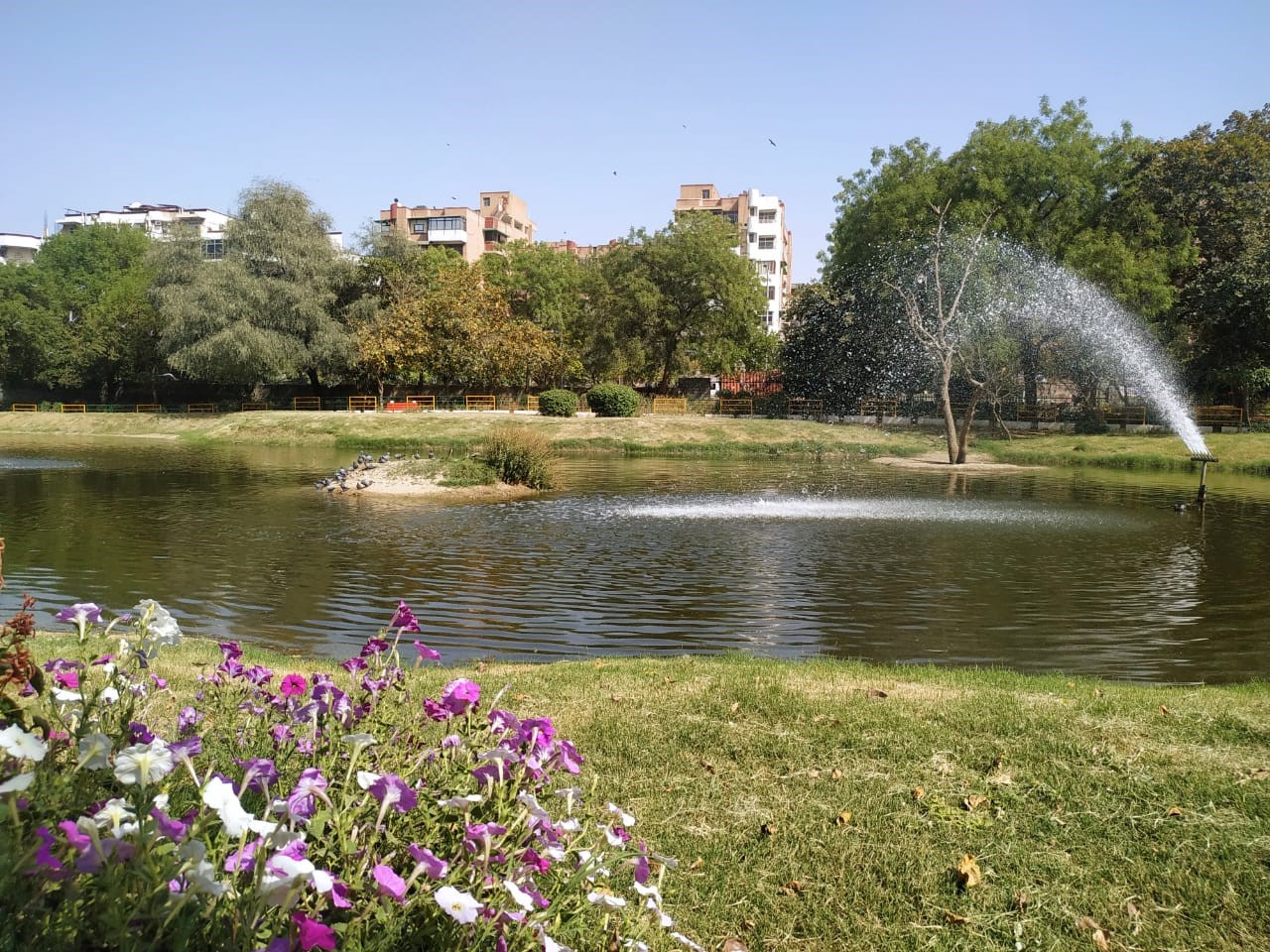 View1