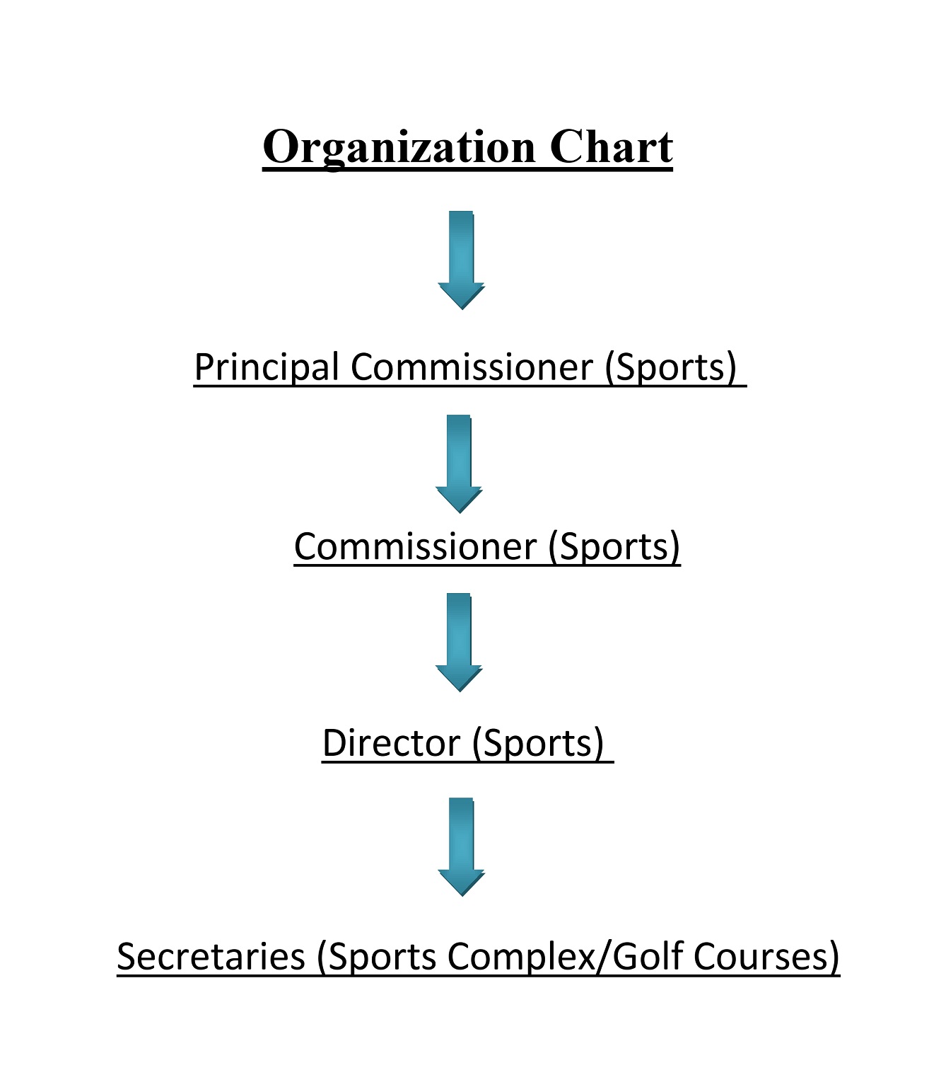 Organiz chart
