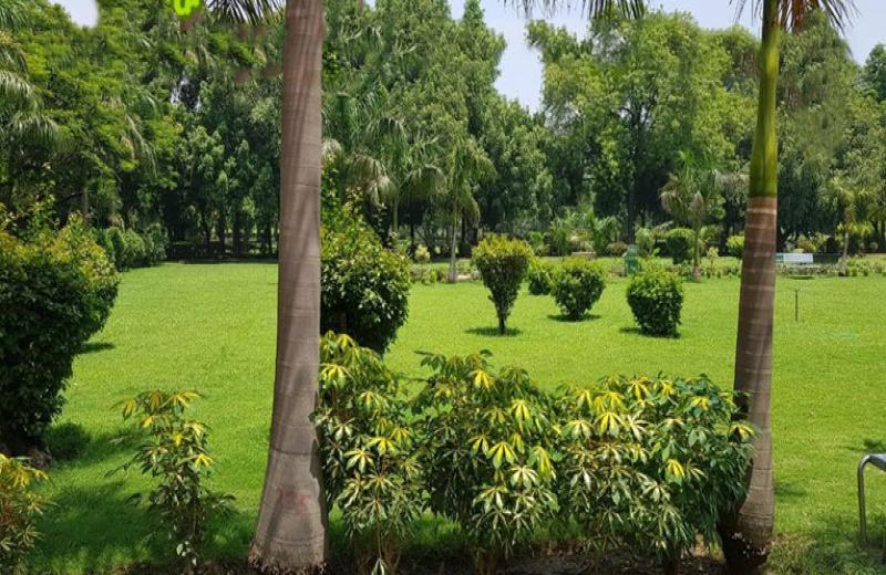 District Park, Hauz Khas