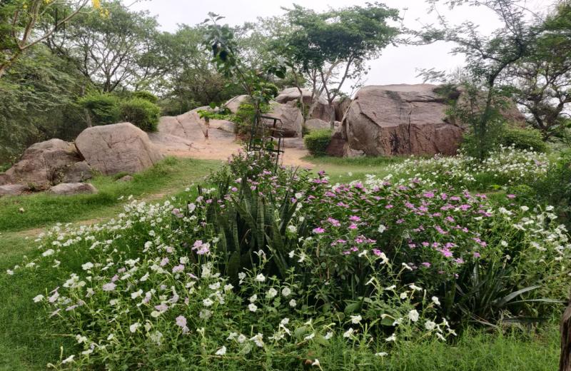Mayur Park, Sanjay Van