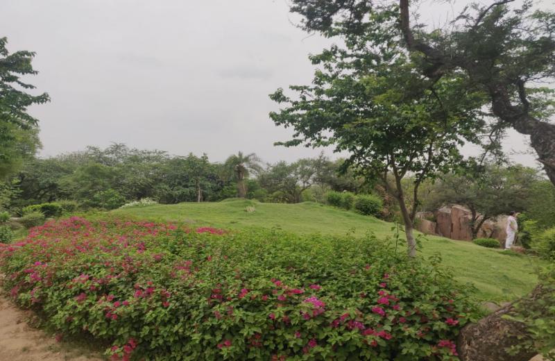 Mayur Park, Sanjay van