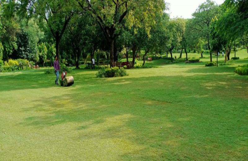 Mehrauli Archeological Park