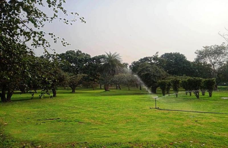 NHP at Pitampura