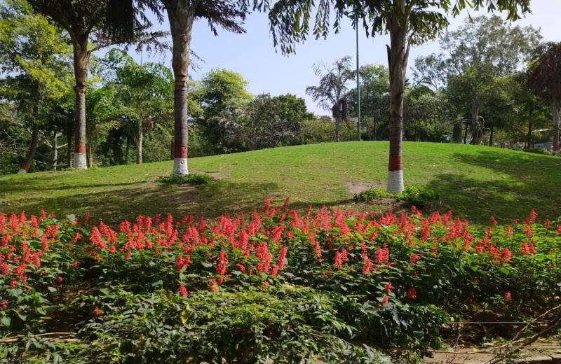 Rock garden, Patel Nagar