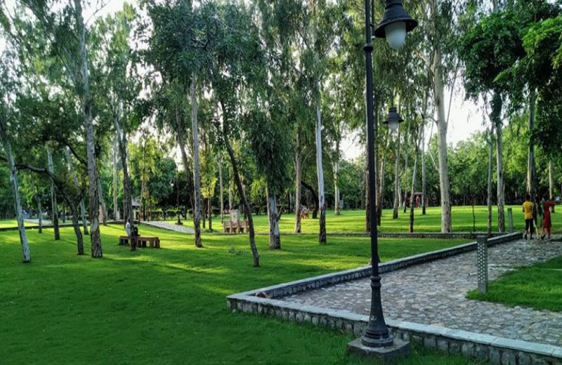 Vasant Udhyan, Vasant Vihar