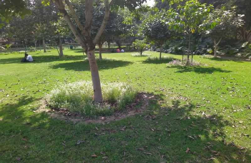 Satya Park, Naraina