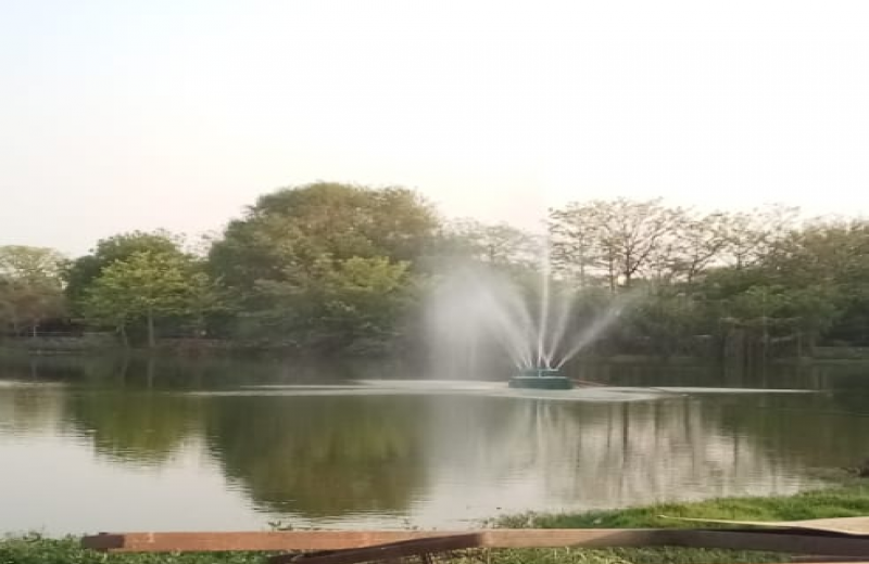 Smriti Van Vasant Kunj