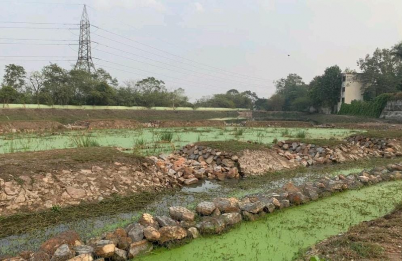 Kalindi Biodiversity Park - DND to Kalindi By-pass (Western Bank)