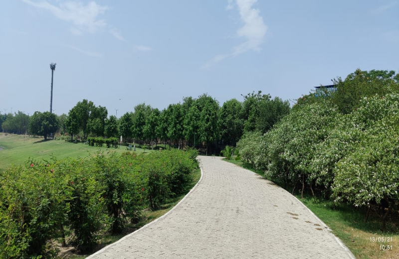 Asita West - Old Railway Bridge to ITO Barrage (Western Bank)