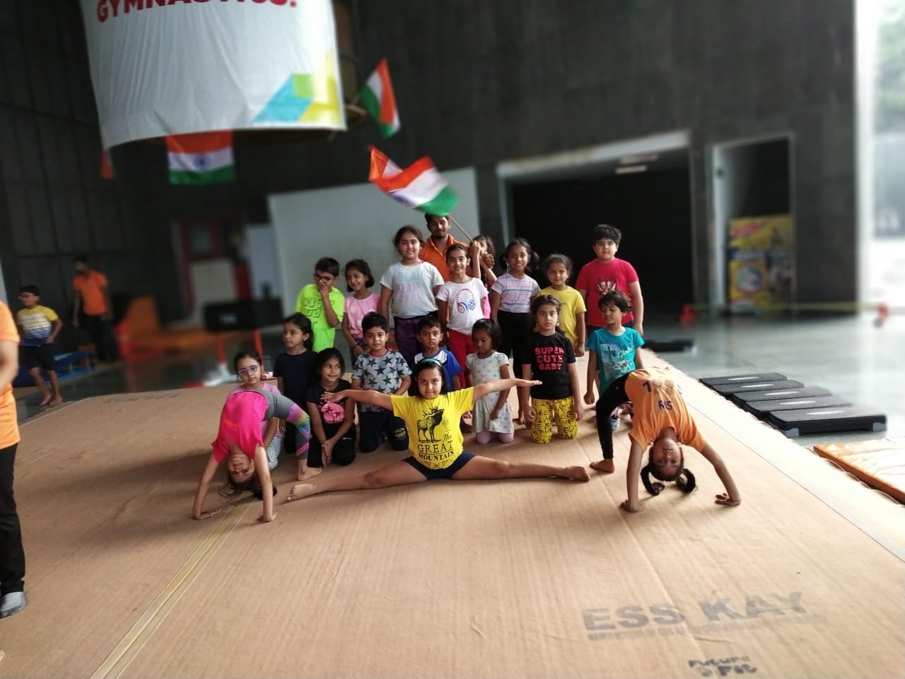 Gymnastic